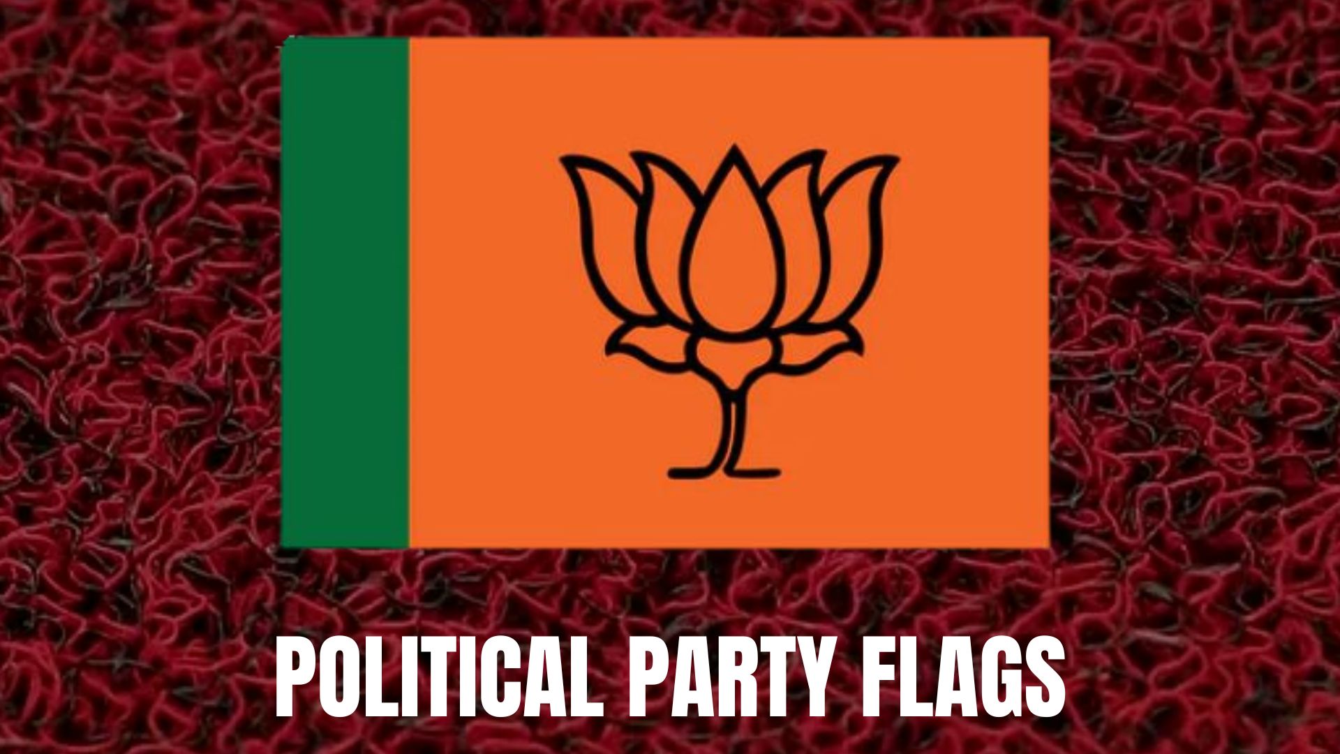 Party Flags 2