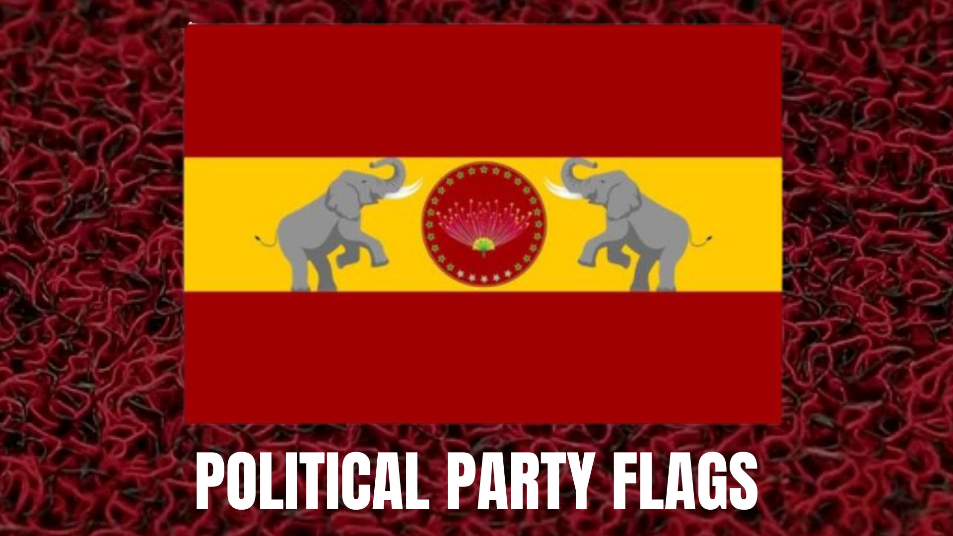 Party Flags 4