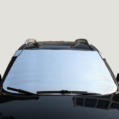 Windshield 1